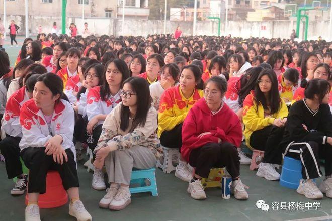 杨梅中学发生的事,早看早知道!|教职工|容县|学校|教育_网易订阅