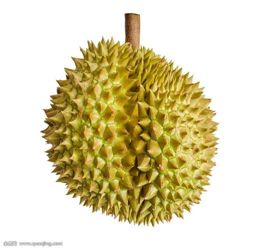 泰国榴莲进口上海通关时间