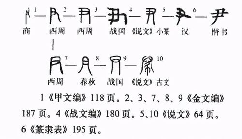 春秋诸侯可称国君,为何周天子不能称为国君?甲骨文揭开秘密