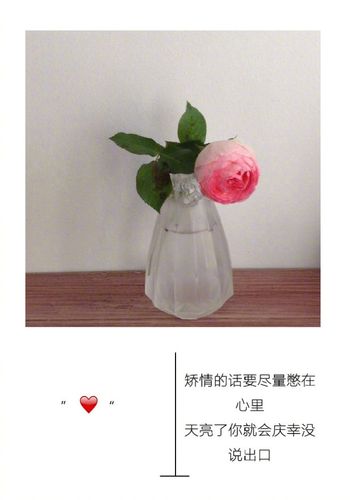 我不聪明,但我肯定不傻. 很多事,我都能看明白.只是不想说而已.