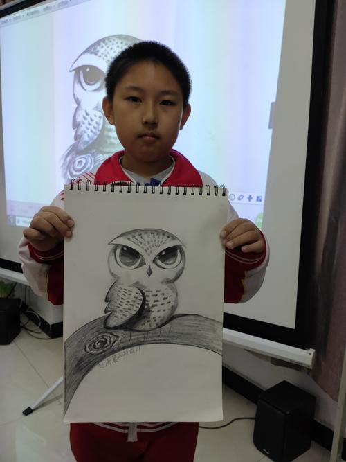 萌萌的猫头鹰!身体的比例!立体的表现!身体花纹的透视关系!