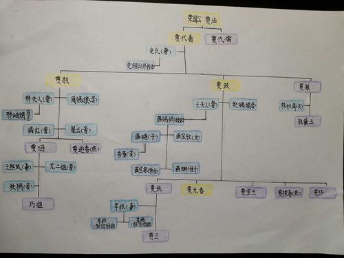 《红楼梦》人物关系图&《西游记》取经路线图