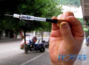 圣诞节我家噜噜惨遭飞针毒杀(痛恨