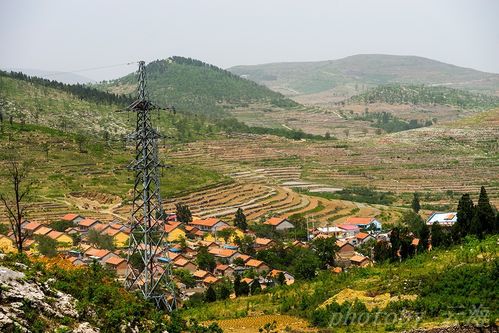 潍坊,安丘辉渠镇,城顶山北坡,梯田