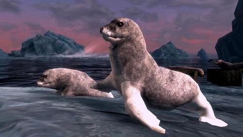 seals and sea lions- mihail monsters and animals