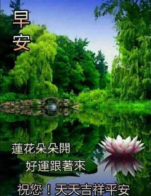 最新版早上好阳光暖心的祝福句子,早晨好美的问候语