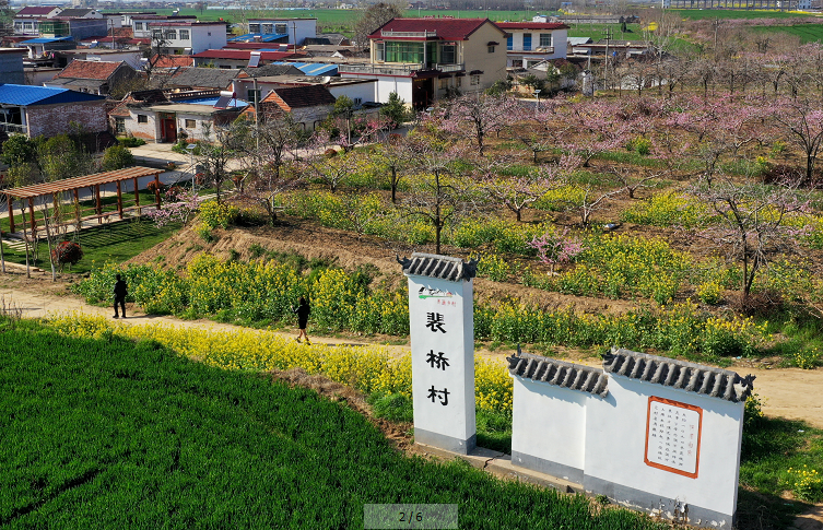 周口西华:万亩桃花入画来