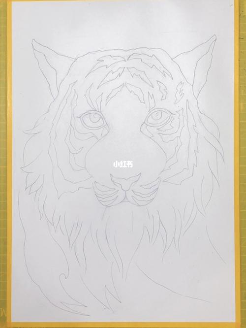 创意美术课适合9~12岁儿童水彩画《老虎》