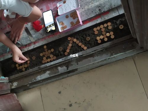 门槛石铺贴的仪式感03_日记_装修_红包_入户门_高考