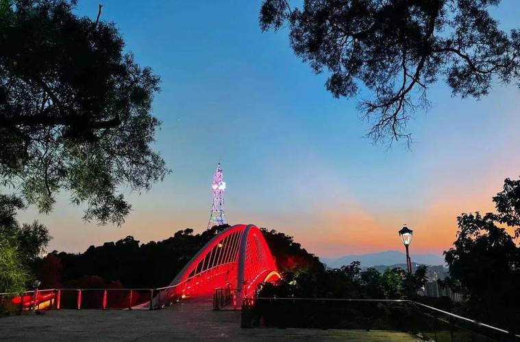 千园之城金鸡山公园被负氧离子包围的公园