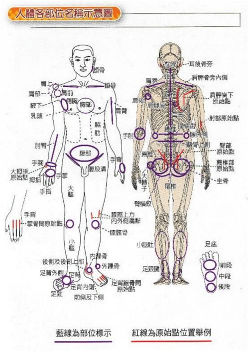 人体各部位名称及手法图.pdf