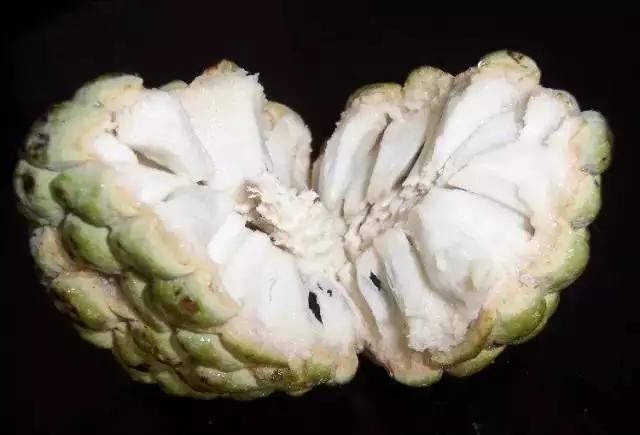 小编也该去挑几个好的林檎,今晚拜月娘啦!