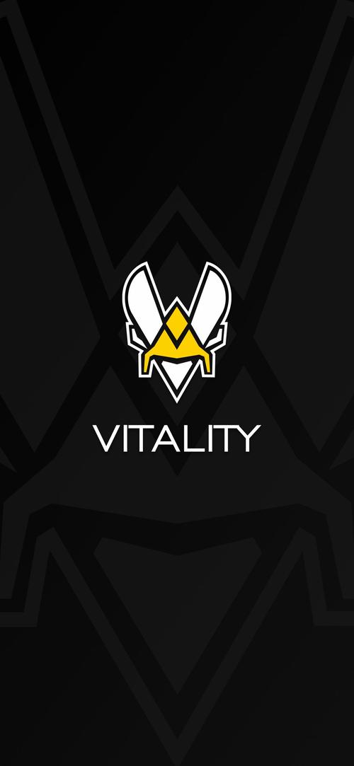 今天分享一张vitality战队的黑色简约壁纸