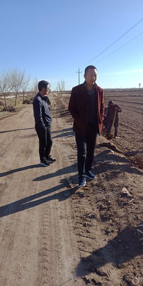 民勤县红沙梁镇花寨村积极开展义务植树活动