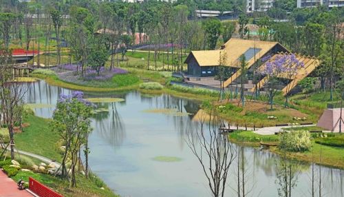 成都锦城绿道项目区域验收顺利完成