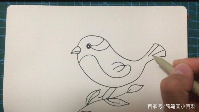 简笔画黄鹂鸟的花朵,图文素材篇