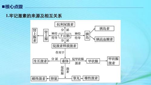 江苏高考生物复习专题七人体的稳态及调节机制考点21激素的功能,分泌