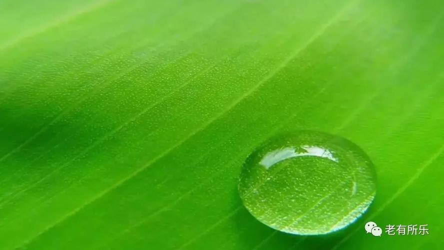 高清微信护眼图,选一张当聊天背景图吧!(附24首养生音乐)