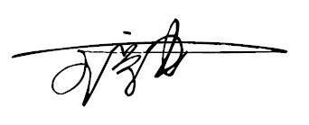 名字艺术签名 王亭力