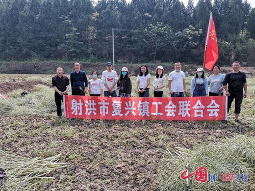射洪市复兴镇工会联合会助力贫困户生产