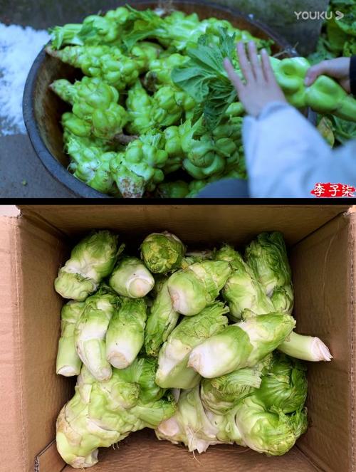 儿菜好像就是南方的冬令蔬菜,我看女主都是在