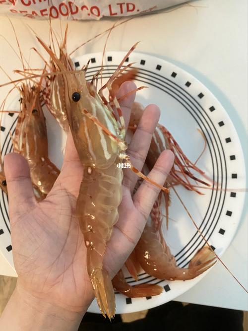 今年份的斑点虾08