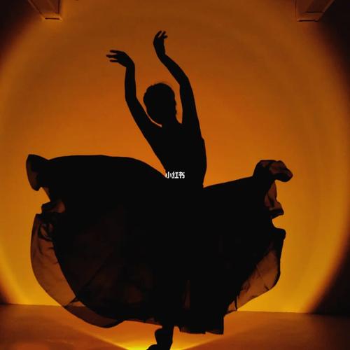 舞蹈动作造型摆拍_舞蹈_摆拍_帝景苑(神龙路)攻略_舞蹈生_日落灯_舞蹈