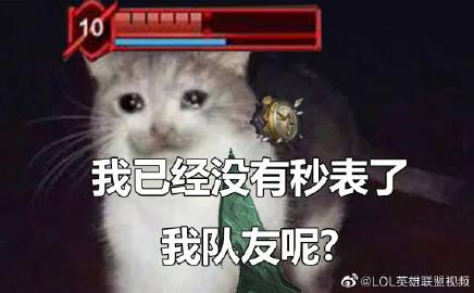 派克系列表情包