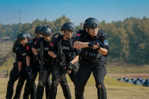纵深掘进新时代县域警务战略邵阳公安举行2020猎豹突击队拉动演练