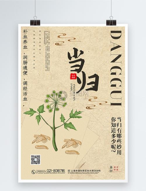 简约中国风当归中草药系列宣传海报
