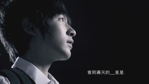 林晖闵的主要作品