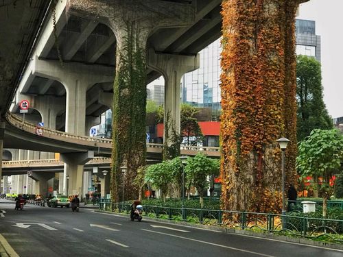 成都最美高架路,全长28公里没有一个红绿灯,犹如绿色"城堡"