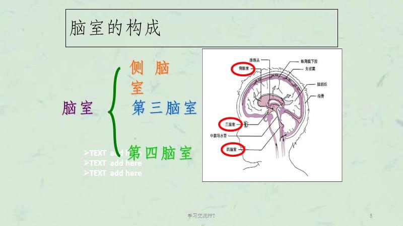 脑脊液循环课件