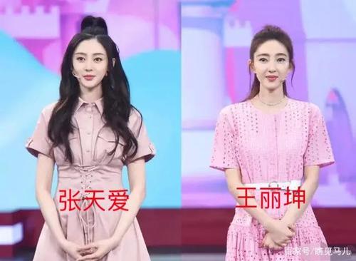 张天爱和王丽坤都是标准的气质型美女,从眉眼还是挺像的,不过张天爱的