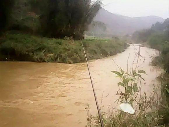 钓鱼直播,在急流浑水里如何钓野鱼