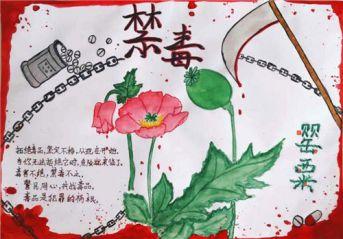 青骄禁毒知识手抄报 禁毒知识手抄报