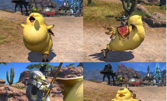 ff14黑色陆行鸟和遗产陆行鸟哪个好 39和78的激活码哪个划算-8090网页