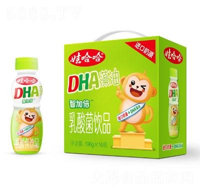 娃哈哈dha乳酸菌