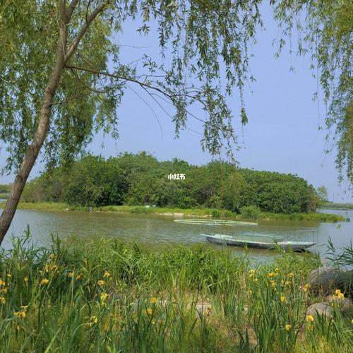 无锡宛山荡湿地公园踏青 绝美花田_踏青_湿地公园_手机摄影_摄影_出行