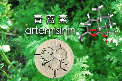 没有临床试验,就没有现代医学,中医也不能例外