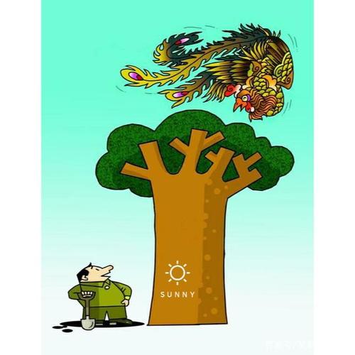 没有梧桐树,哪能引来金凤凰?