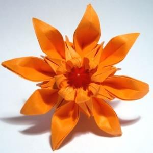 菊花手工折纸教程