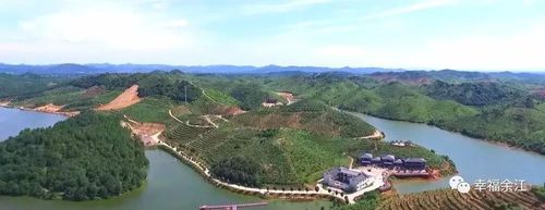灵溪小镇,位于余江县杨溪乡墩上水库东南侧,是返乡创业大学生左冬水