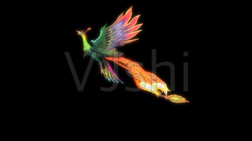 4k七彩火凤凰飞孔雀循环动画中国水墨凤凰