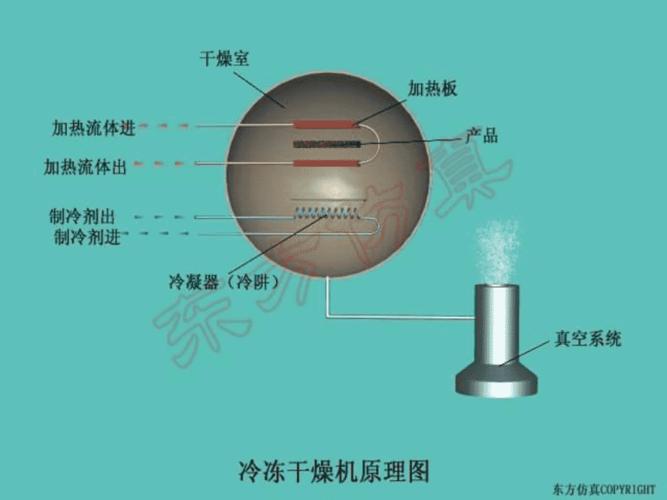 冷冻干燥原理培训课件冻干原理ppt