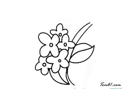 桂花怎样简笔画