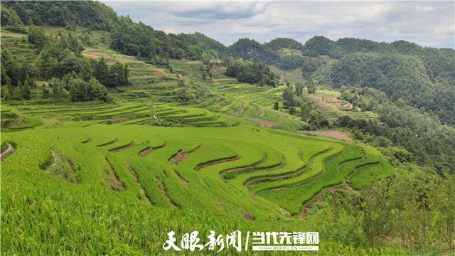 实至名归,凤冈县荣获第四批国家生态文明建设示范县称号!