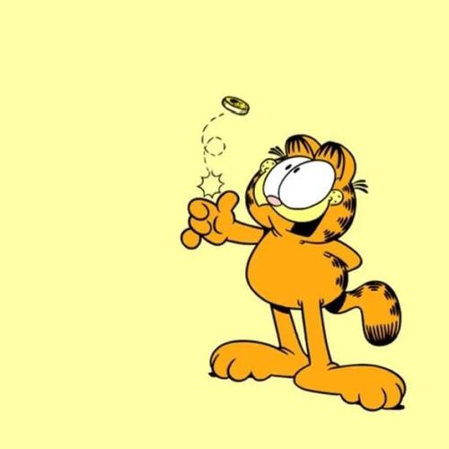 今日头像——加菲猫