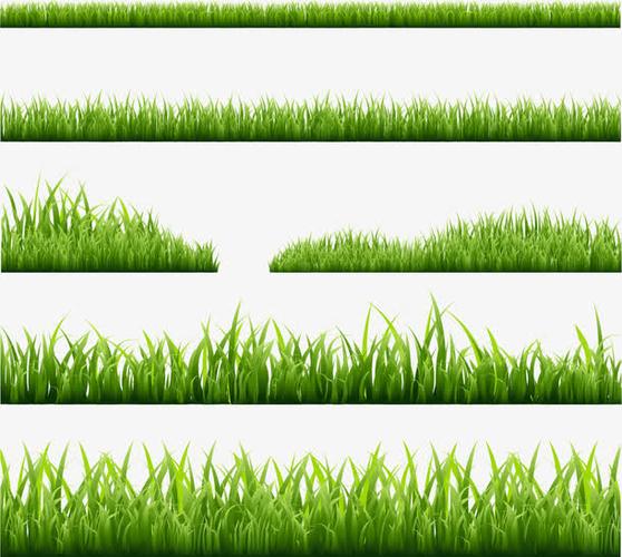 矢量绿草