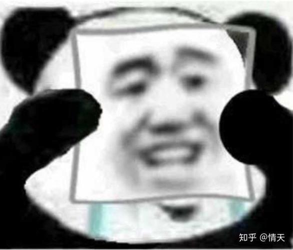 想知道微信拿沙雕表情包当头像是怎样着的人?